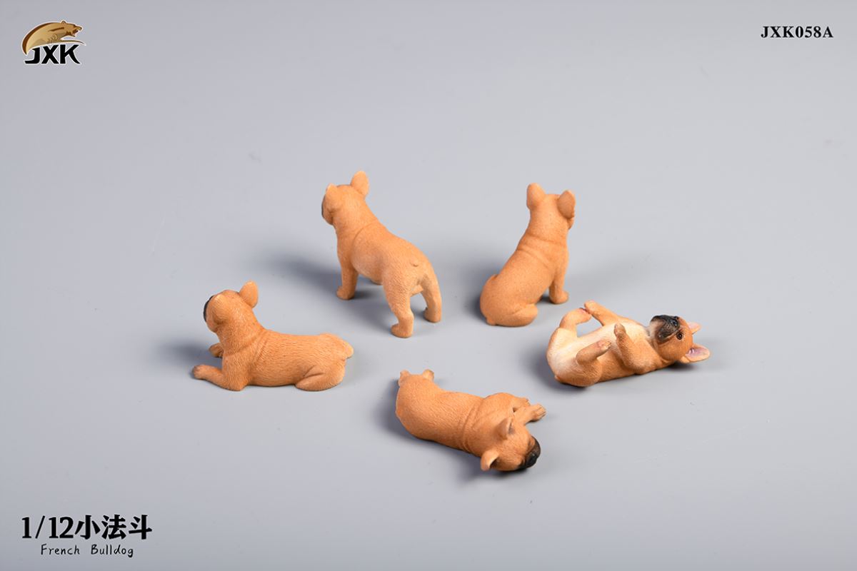 Miniature French bulldog 1/12