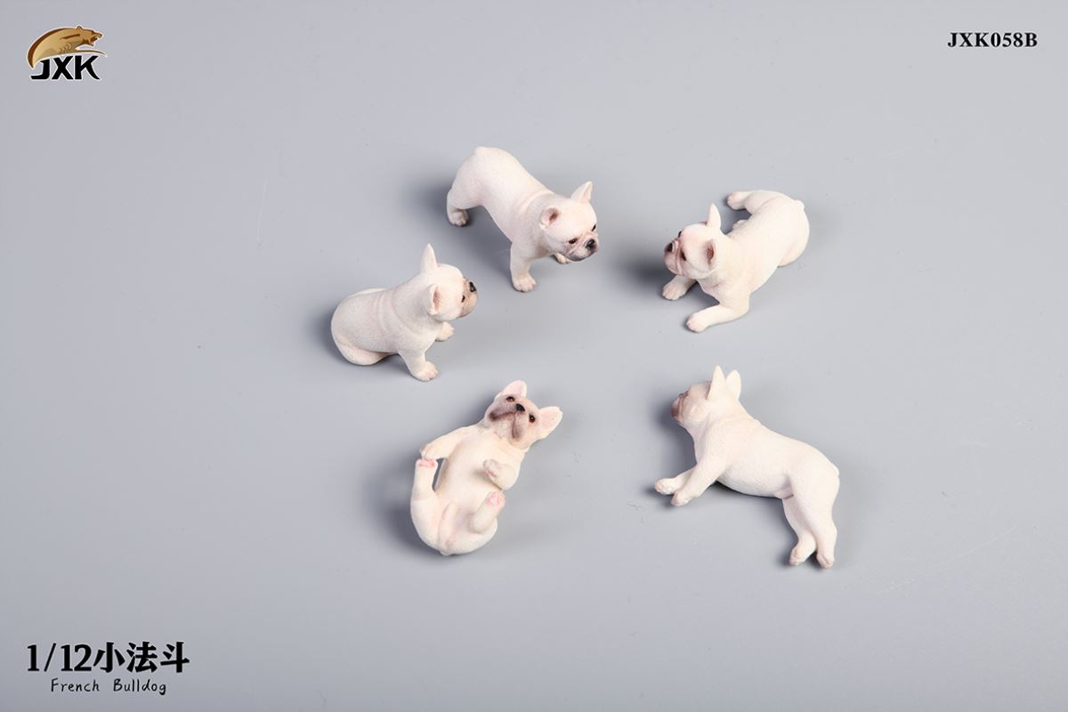 Miniature French bulldog 1/12