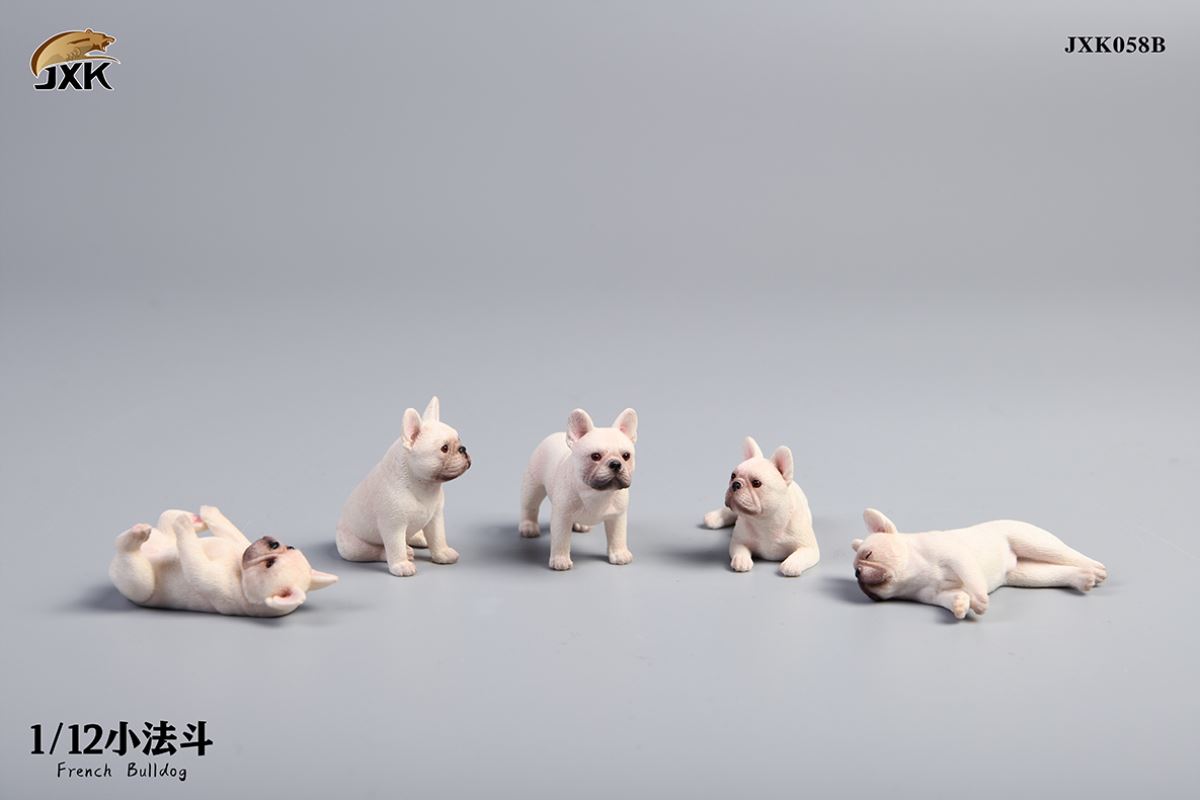 Miniature French bulldog 1/12