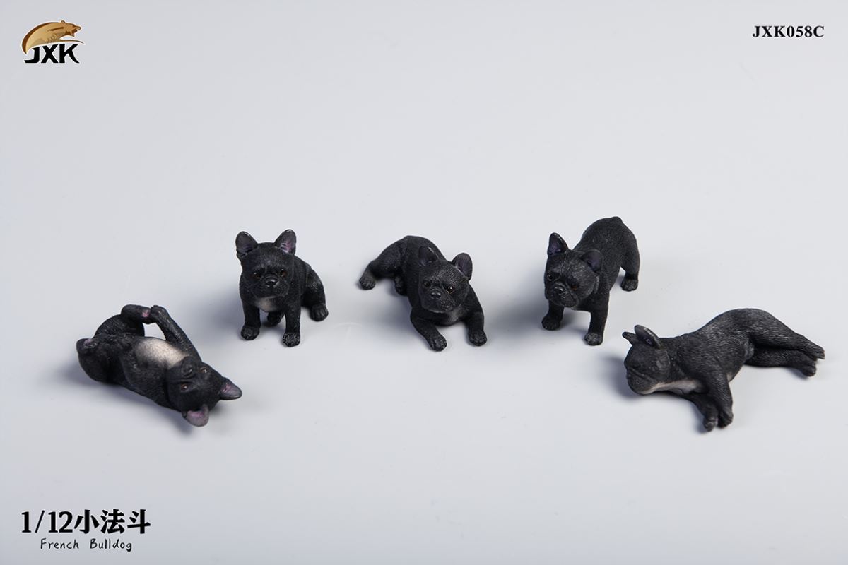 Miniature French bulldog 1/12