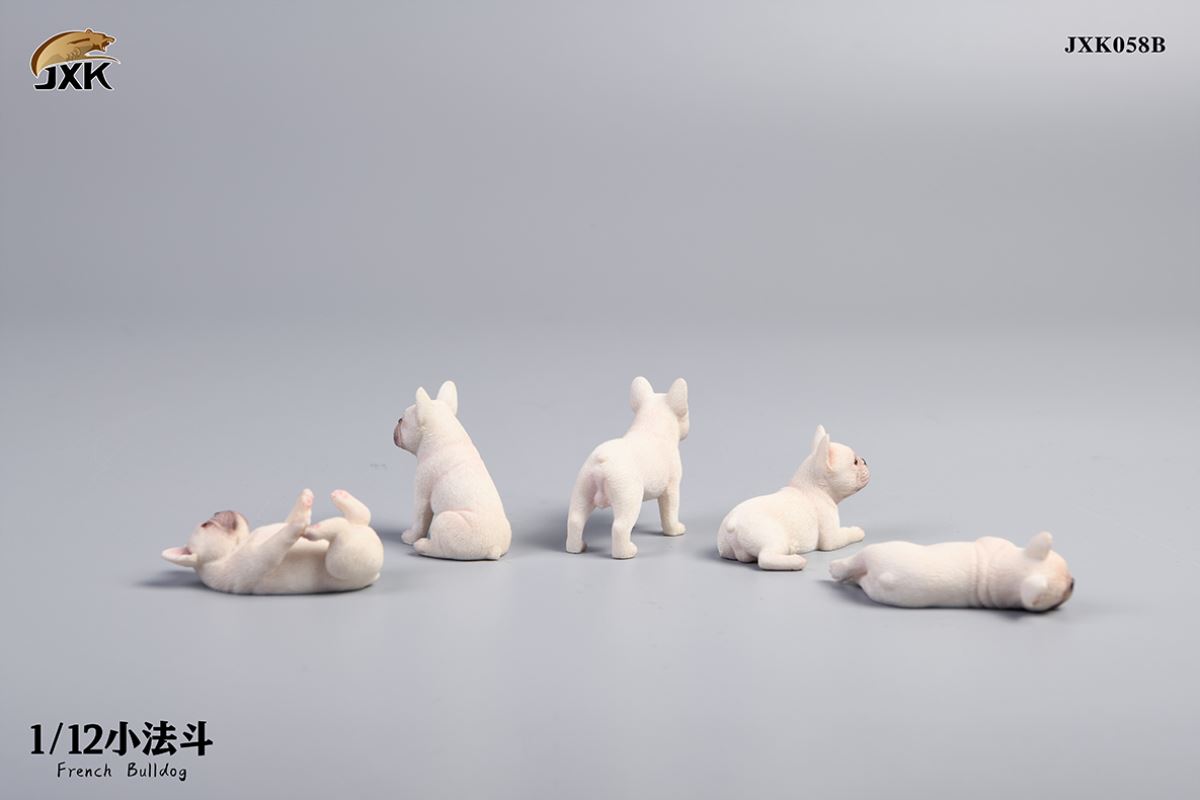 Miniature French bulldog 1/12