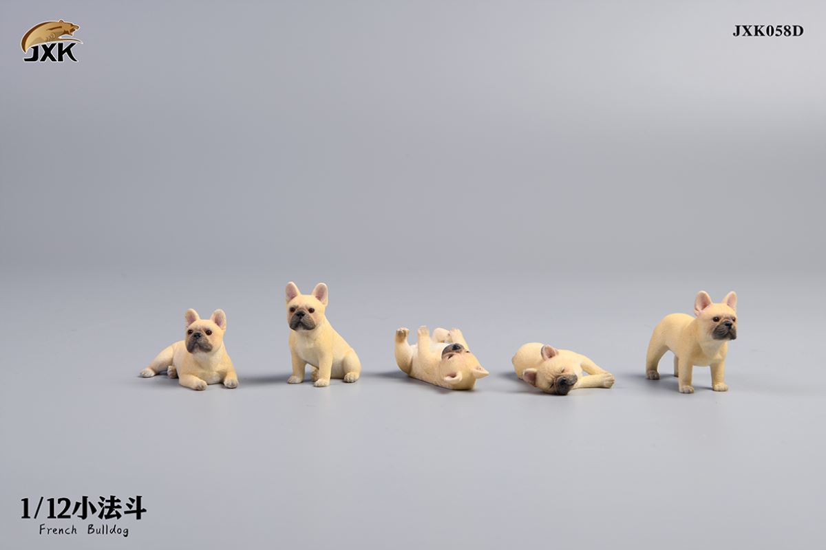 Miniature French bulldog 1/12