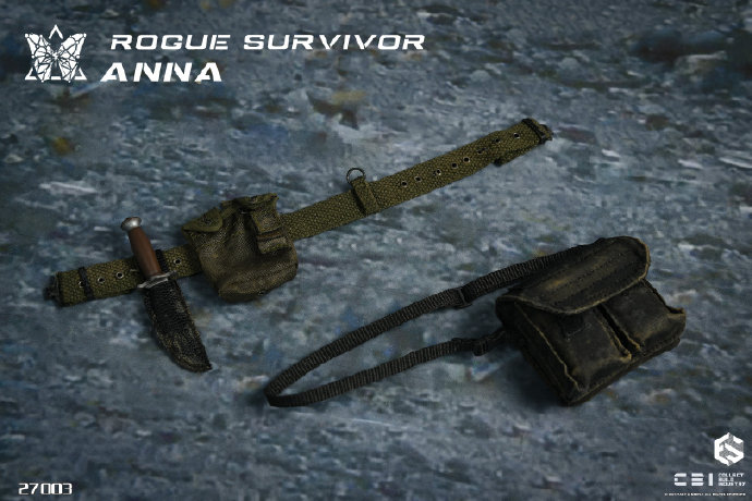 Wandering Survivor Anna 1/6