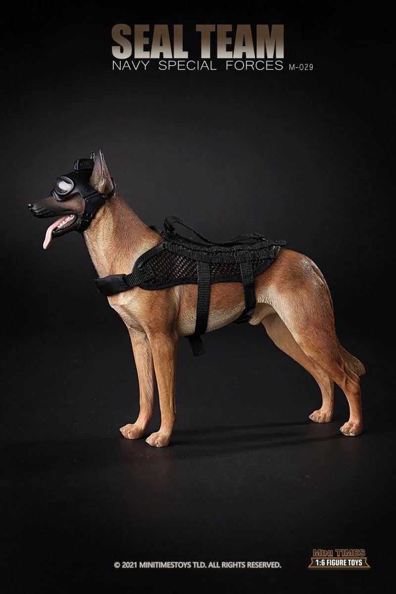 US Navy SEALs with dog 1/6