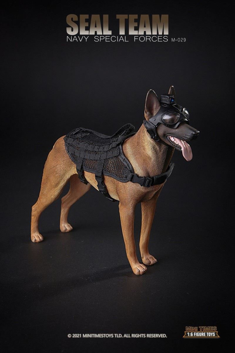 US Navy SEALs with dog 1/6