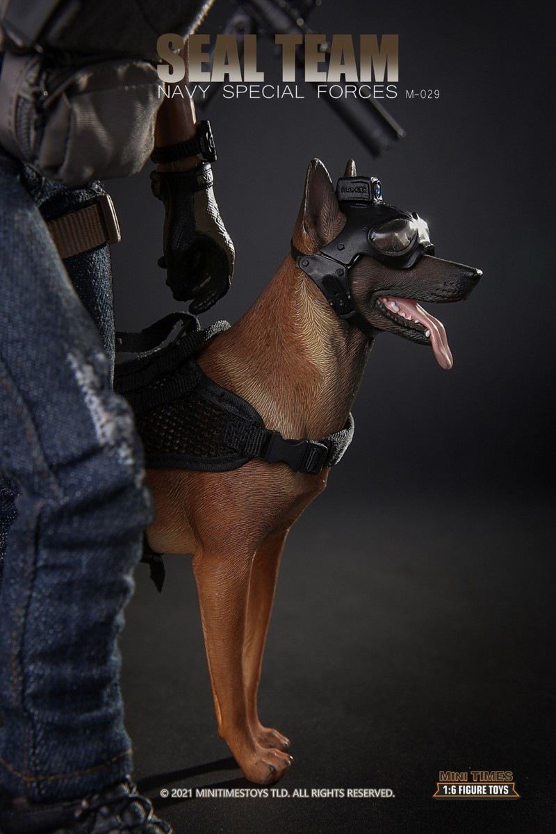 US Navy SEALs with dog 1/6