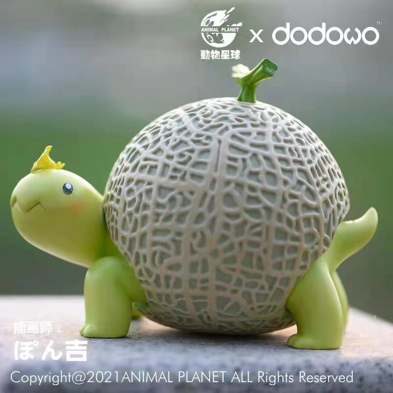Melon Tortoise