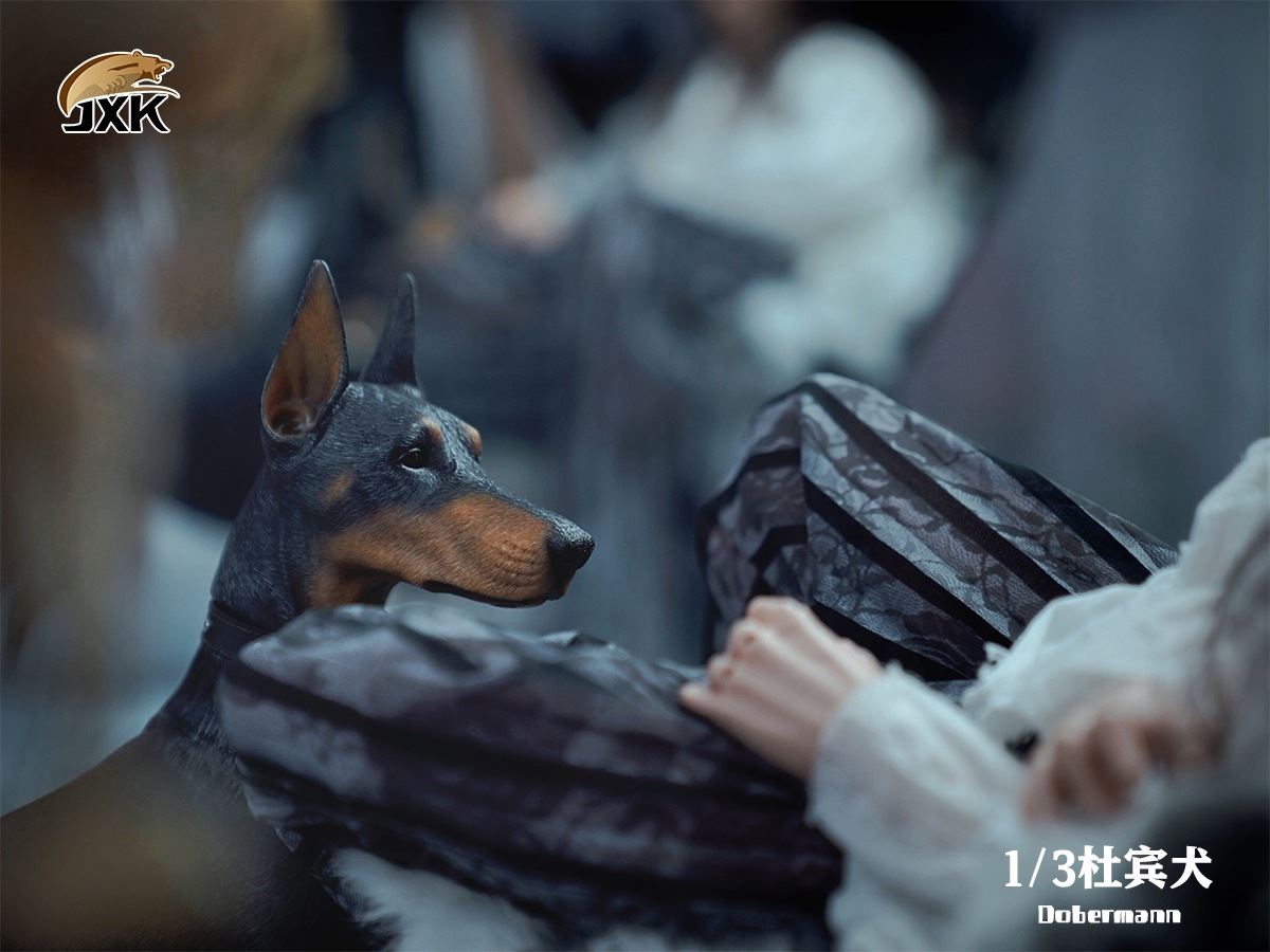 Doberman Animal Model 1/3