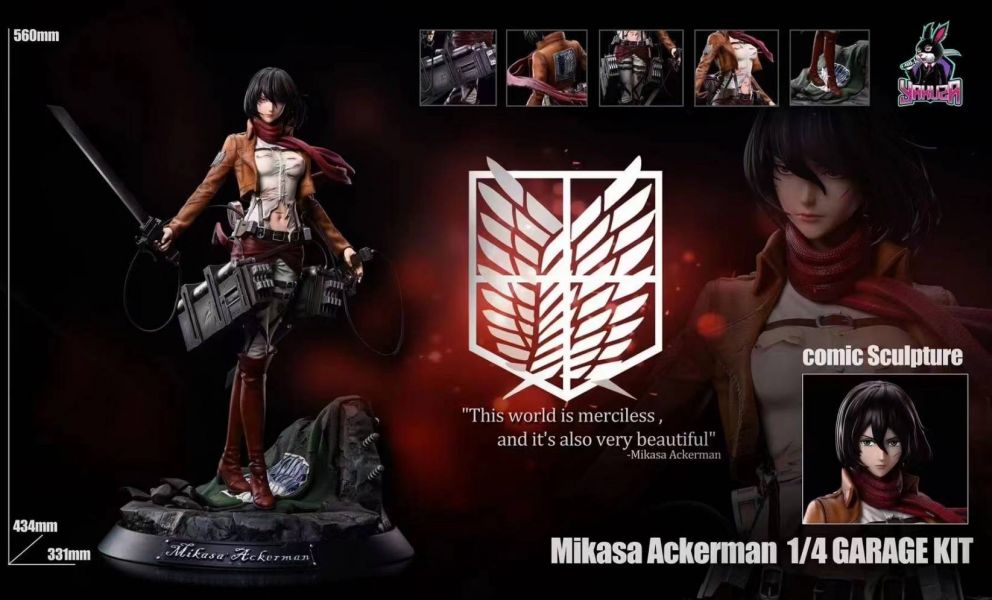 Mikasa Ackerman - Attack on Titans