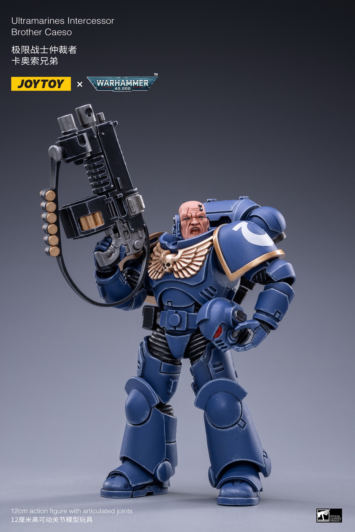 Holy Blood Angel Death Company Arbiter & Ultimate Warrior Arbiter & Original Cast Think Tank