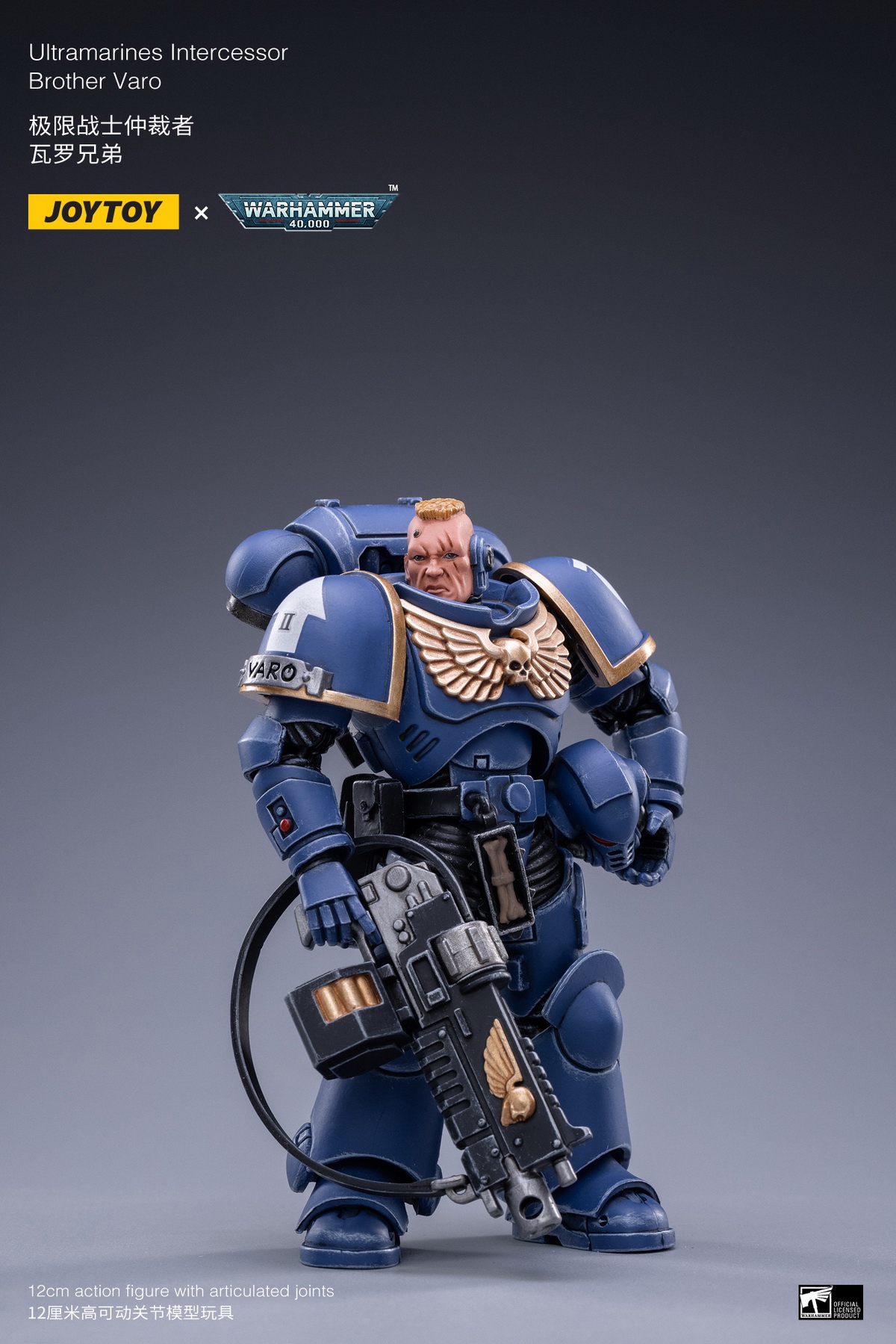 Holy Blood Angel Death Company Arbiter & Ultimate Warrior Arbiter & Original Cast Think Tank