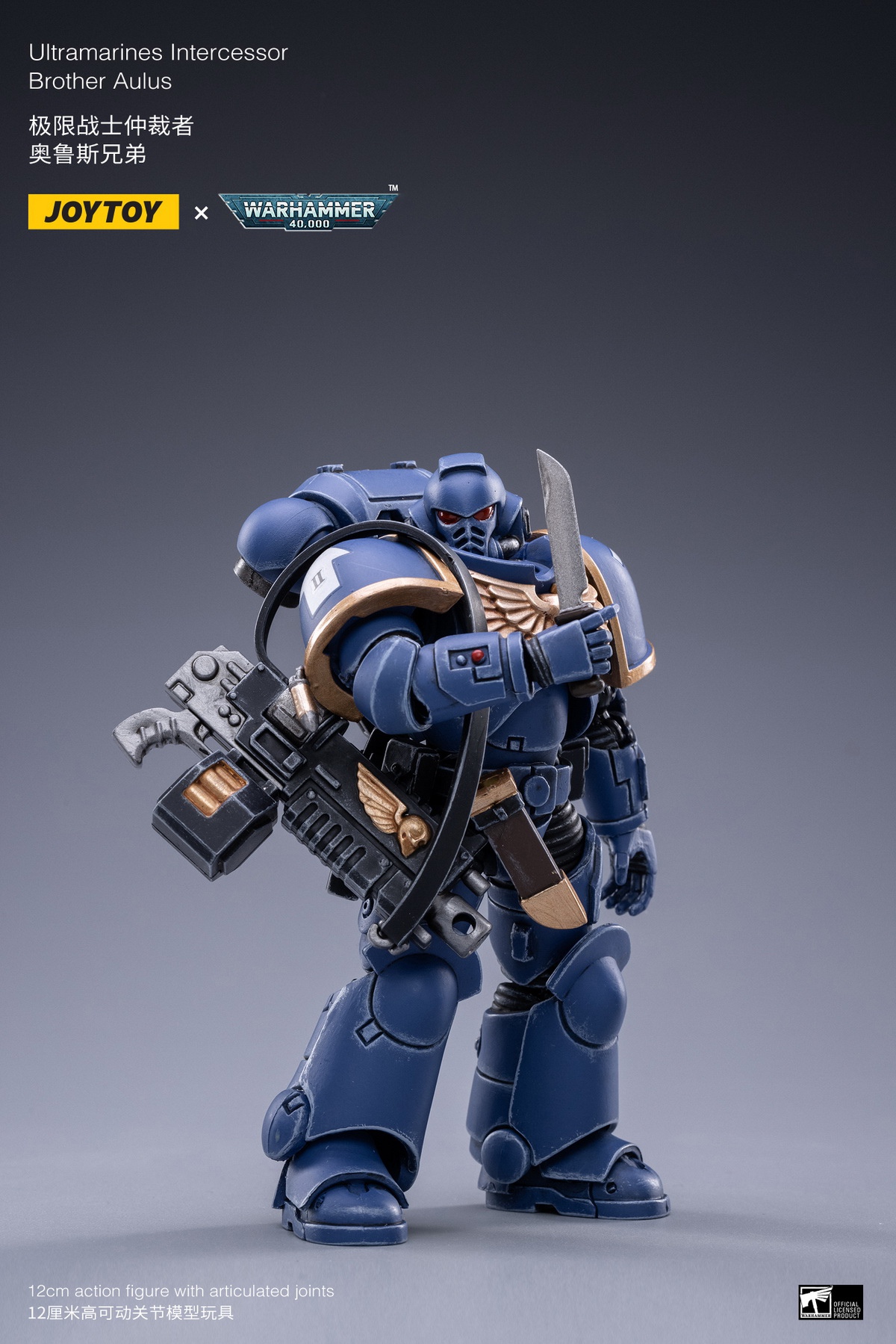 Holy Blood Angel Death Company Arbiter & Ultimate Warrior Arbiter & Original Cast Think Tank