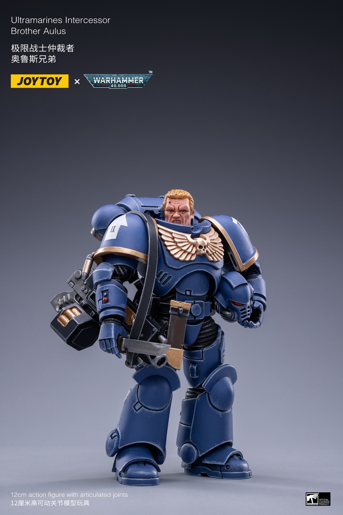 Holy Blood Angel Death Company Arbiter & Ultimate Warrior Arbiter & Original Cast Think Tank
