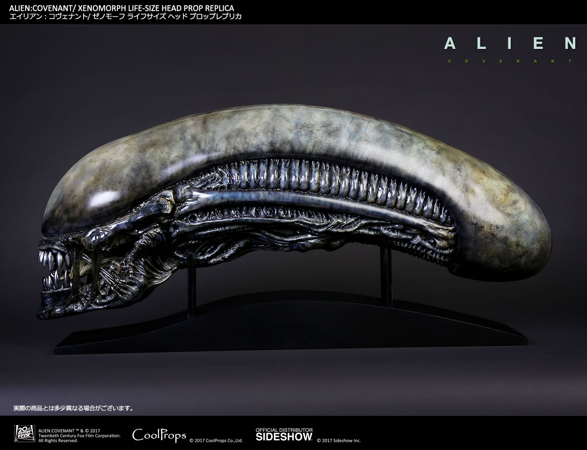 ALIEN: COVENANT / XENOMORPH LIFE-SIZE HEAD PROP REPLICA