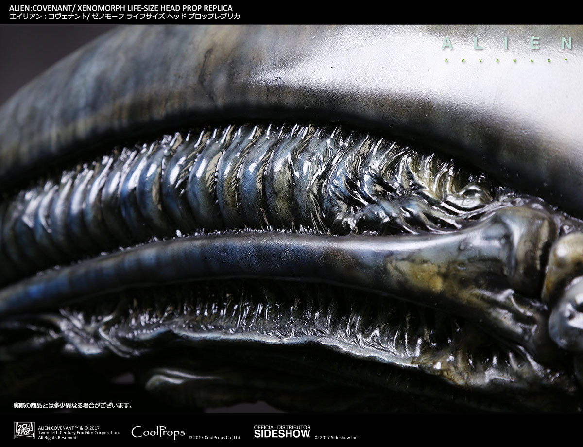 ALIEN: COVENANT / XENOMORPH LIFE-SIZE HEAD PROP REPLICA