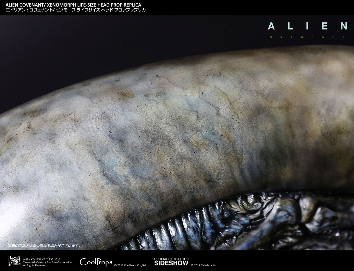 ALIEN: COVENANT / XENOMORPH LIFE-SIZE HEAD PROP REPLICA