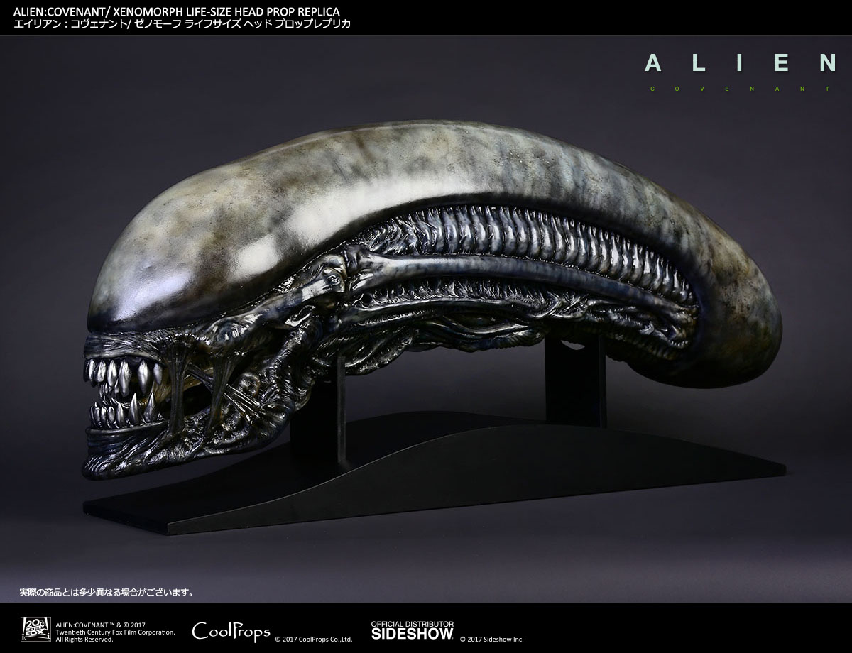 ALIEN: COVENANT / XENOMORPH LIFE-SIZE HEAD PROP REPLICA