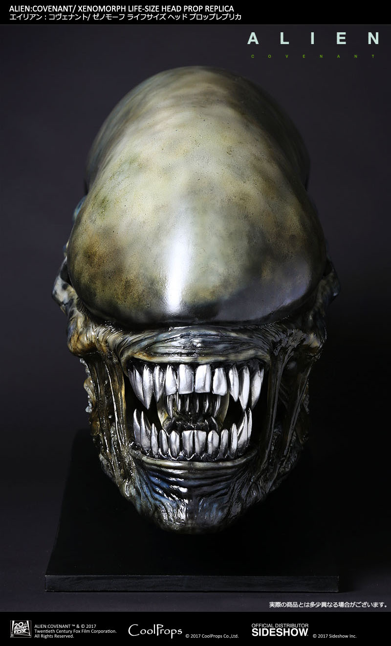 ALIEN: COVENANT / XENOMORPH LIFE-SIZE HEAD PROP REPLICA