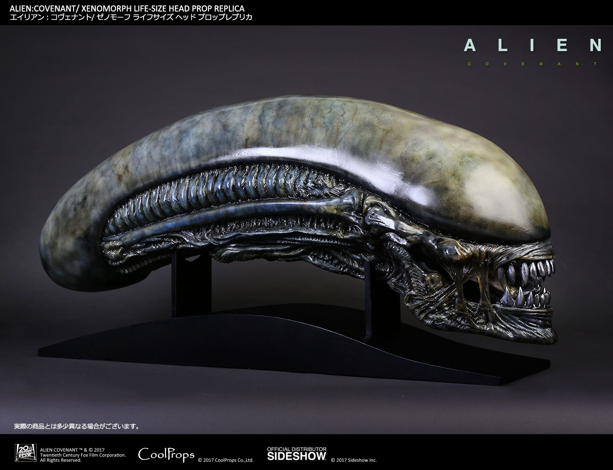ALIEN: COVENANT / XENOMORPH LIFE-SIZE HEAD PROP REPLICA