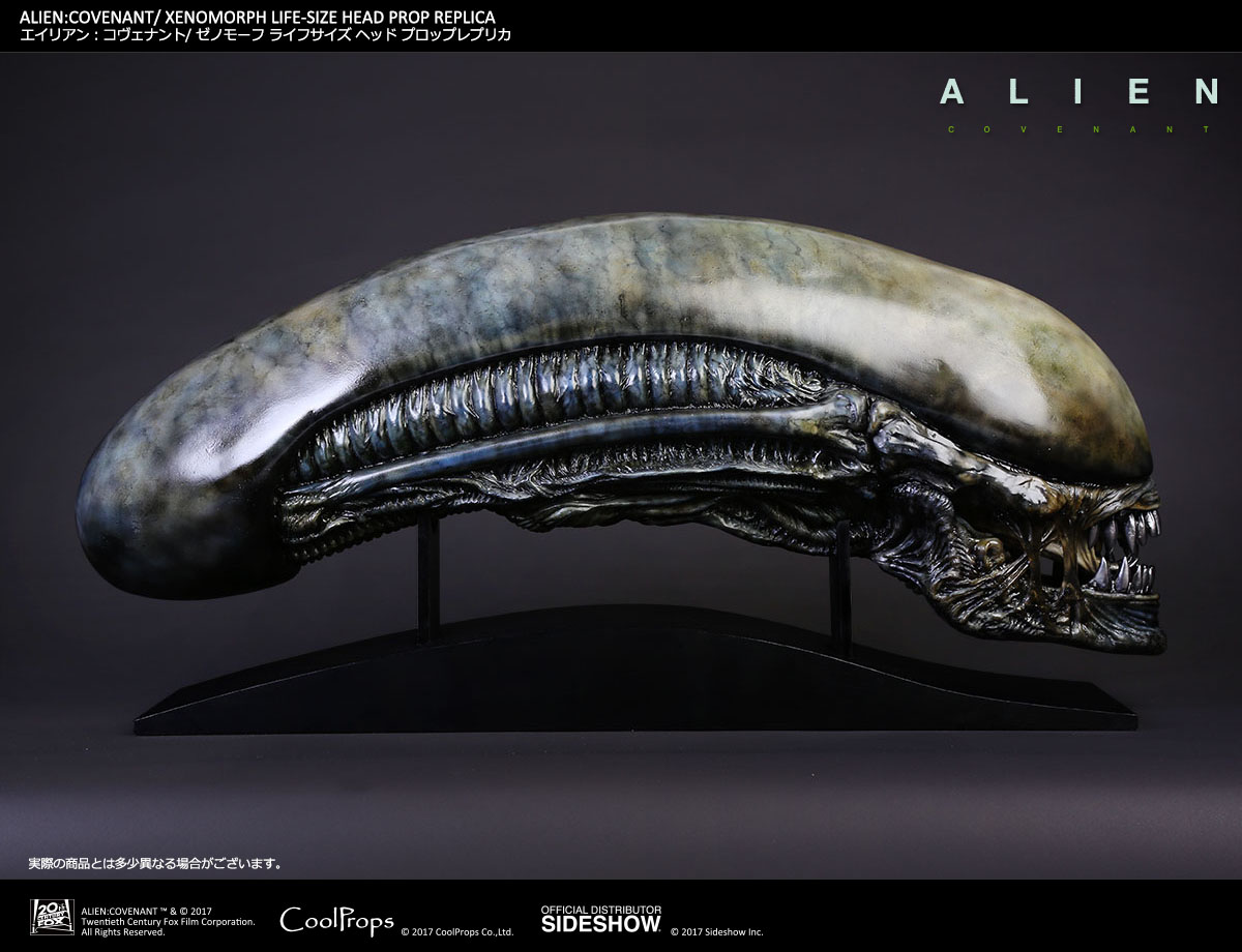 ALIEN: COVENANT / XENOMORPH LIFE-SIZE HEAD PROP REPLICA