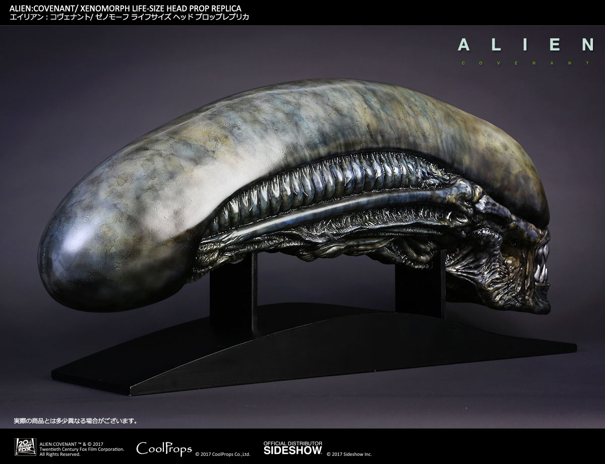ALIEN: COVENANT / XENOMORPH LIFE-SIZE HEAD PROP REPLICA