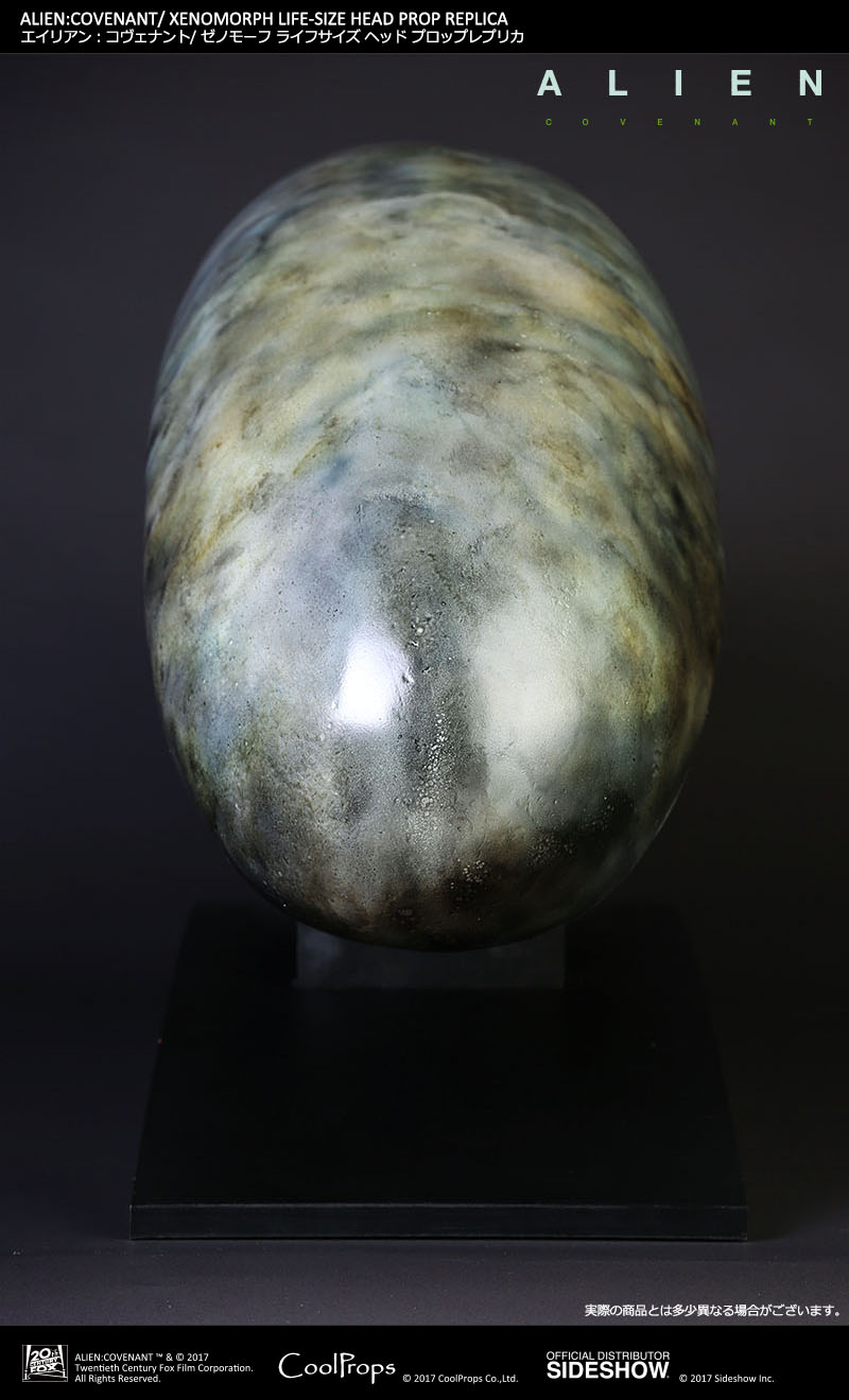ALIEN: COVENANT / XENOMORPH LIFE-SIZE HEAD PROP REPLICA