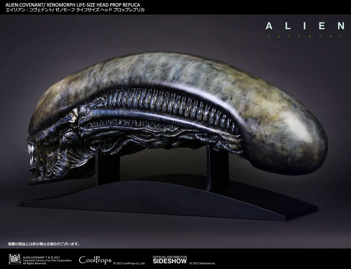 ALIEN: COVENANT / XENOMORPH LIFE-SIZE HEAD PROP REPLICA