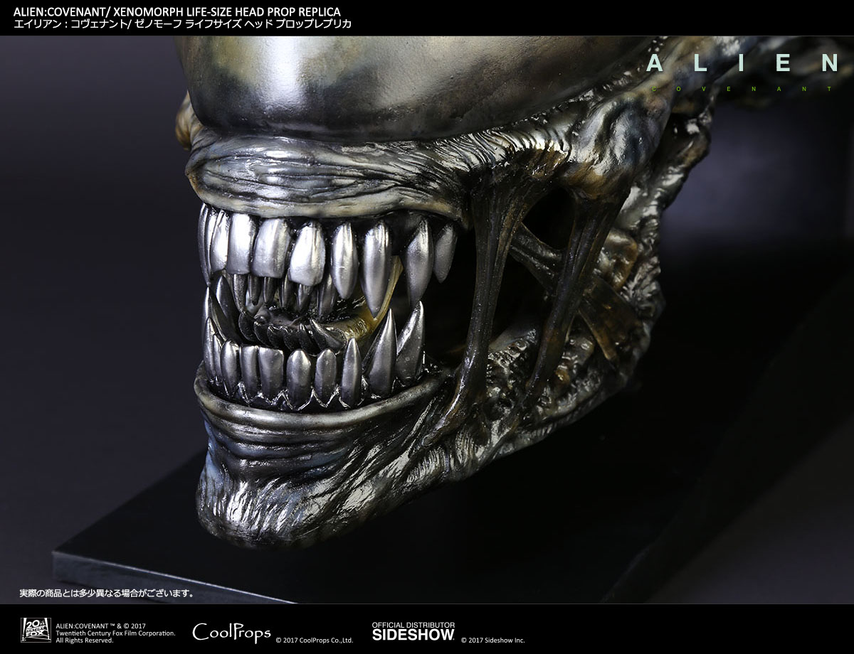 ALIEN: COVENANT / XENOMORPH LIFE-SIZE HEAD PROP REPLICA