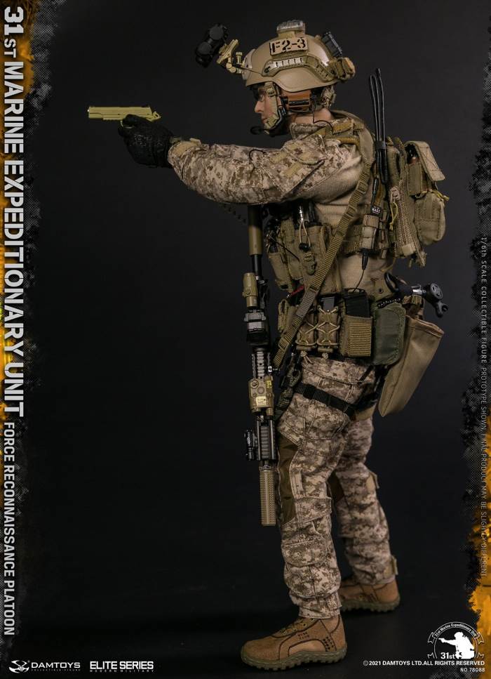 Marine Expeditionary Unit DAMTOYS Force Reconnaissance Platoon 1/6
