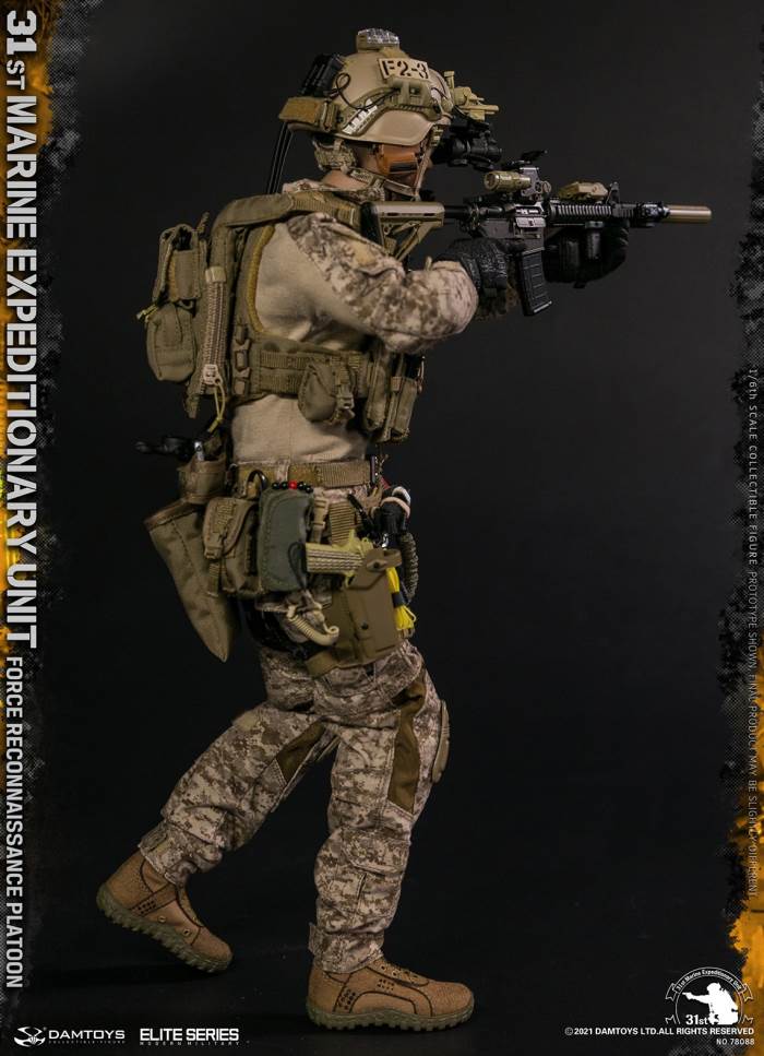 Marine Expeditionary Unit DAMTOYS Force Reconnaissance Platoon 1/6
