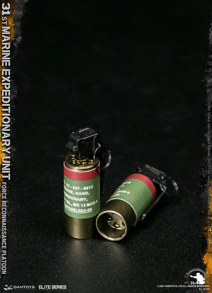 Marine Expeditionary Unit DAMTOYS Force Reconnaissance Platoon 1/6