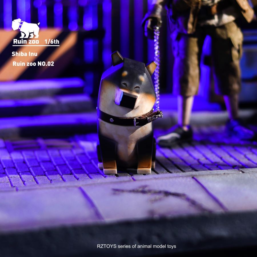 Ruin Shiba Inu 1/6