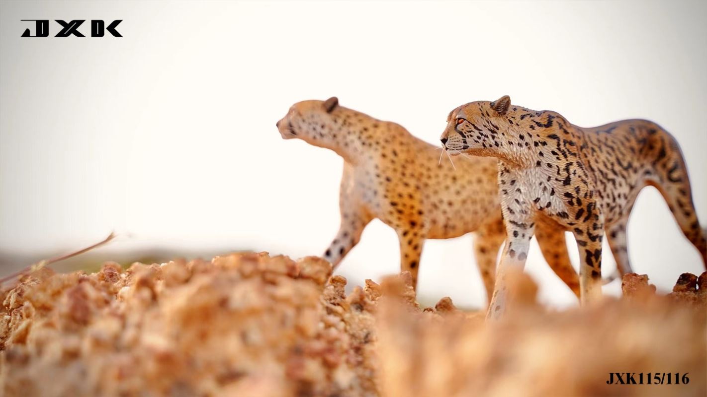 Acinonyx Jubatus/King Cheetha 1/6