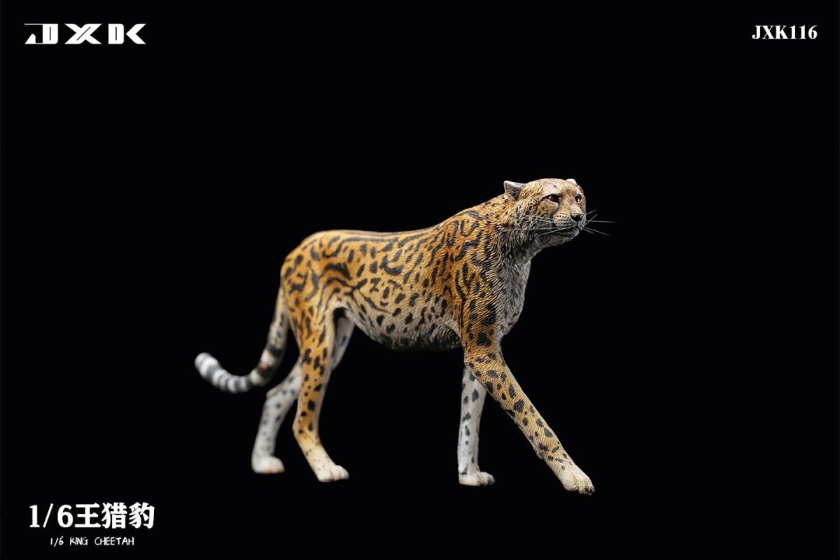 Acinonyx Jubatus/King Cheetha 1/6