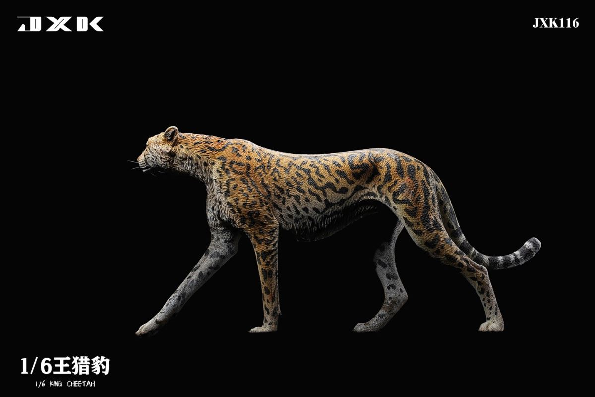 Acinonyx Jubatus/King Cheetha 1/6