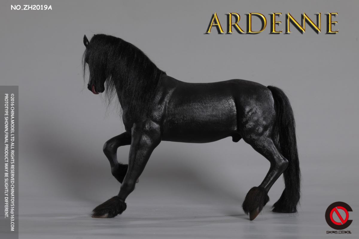 Ardenne 1/6