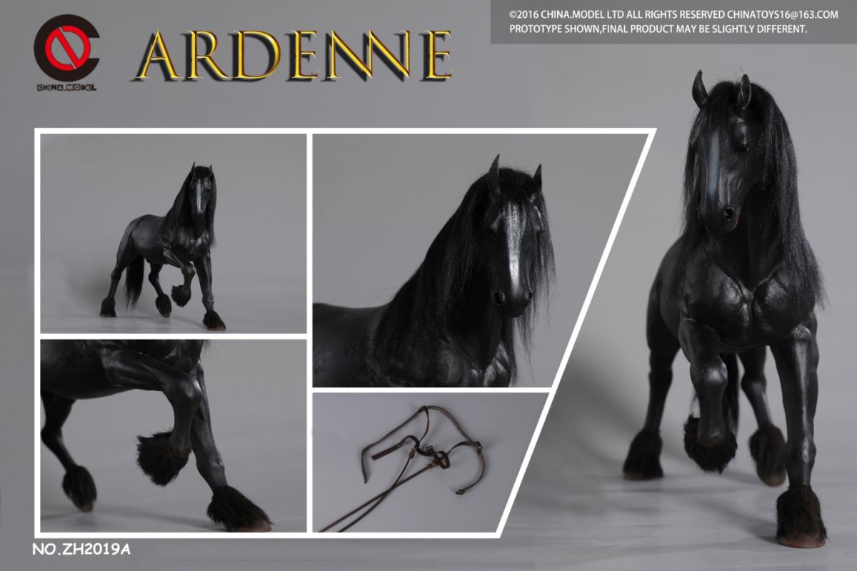 Ardenne 1/6