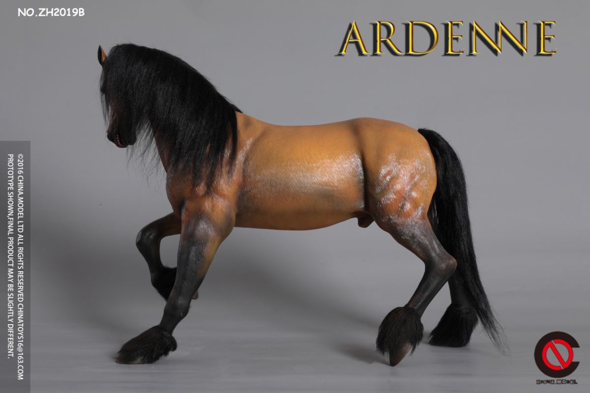 Ardenne 1/6