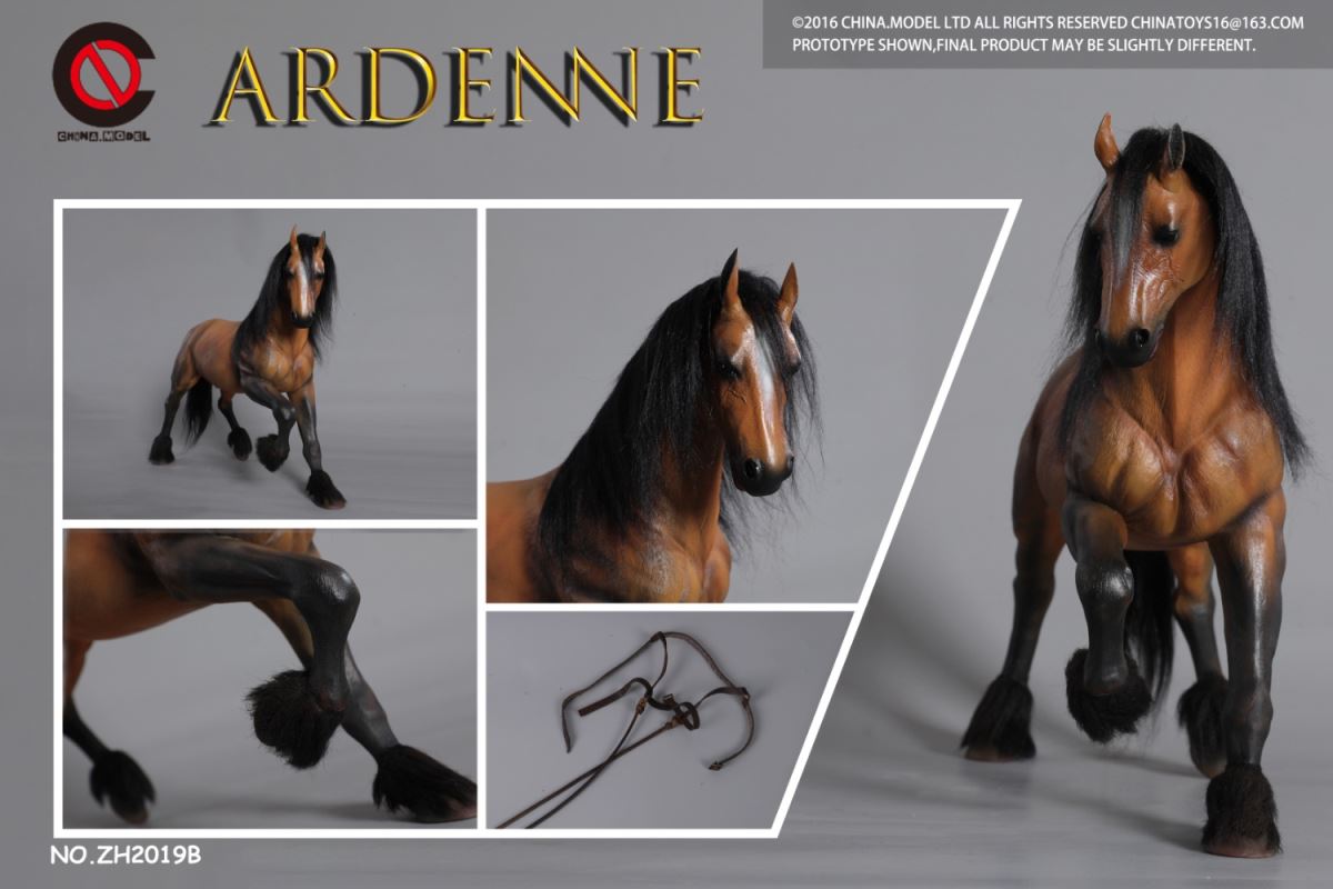 Ardenne 1/6