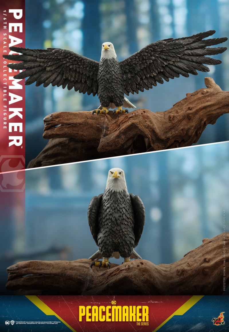 Peacemaker 1/6