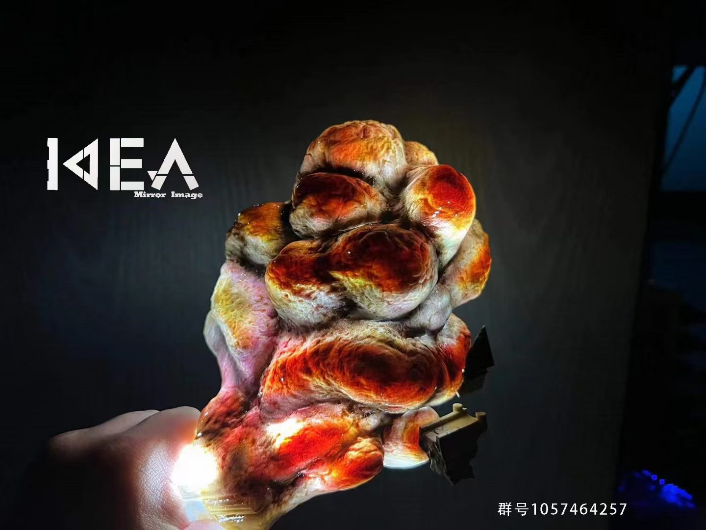 Donquixote Doflamingo