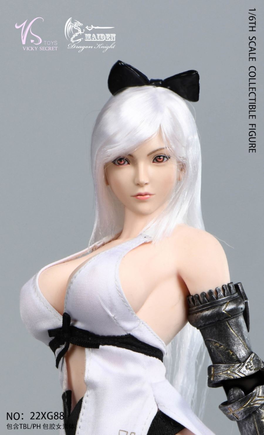 Dragon Rider 22XG88 1/6