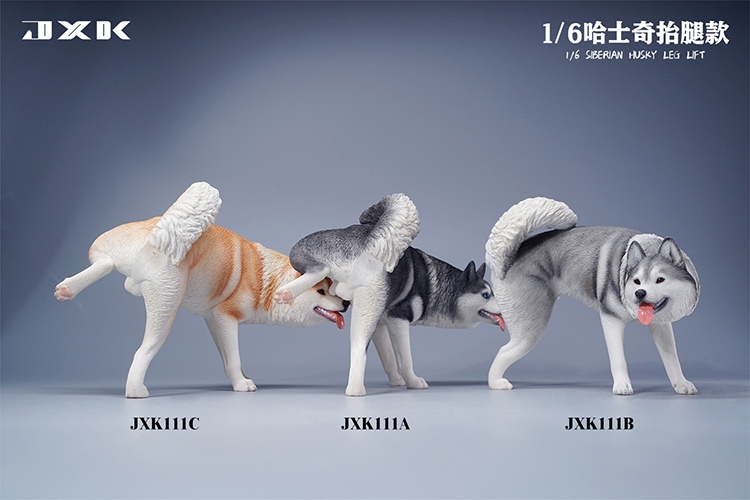 Siberian Husky Half Squat / Leg Lift 1/6