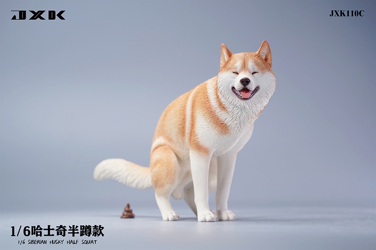 Siberian Husky Half Squat / Leg Lift 1/6