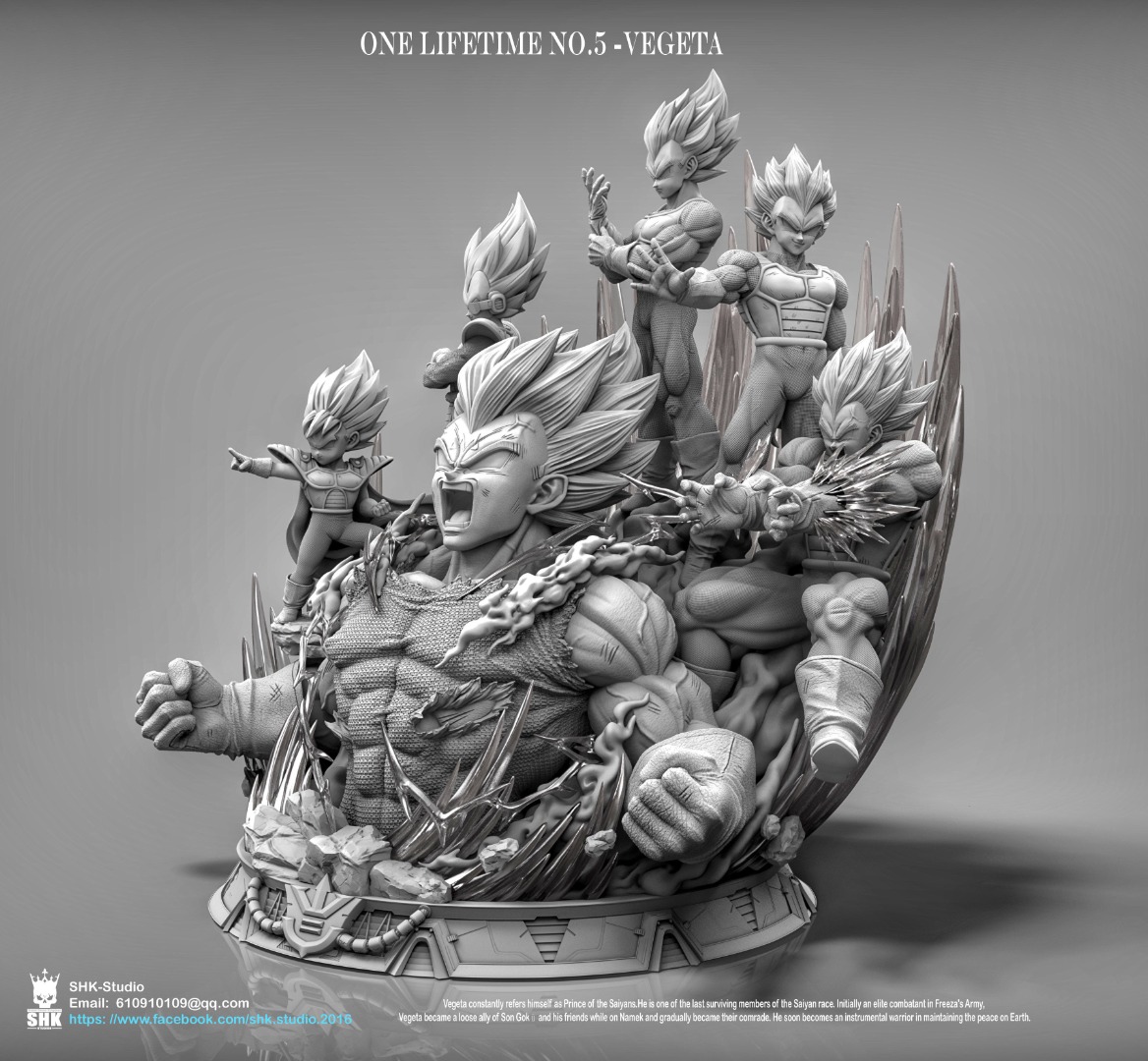 Vegeta One Lifetime - Dragon Ball