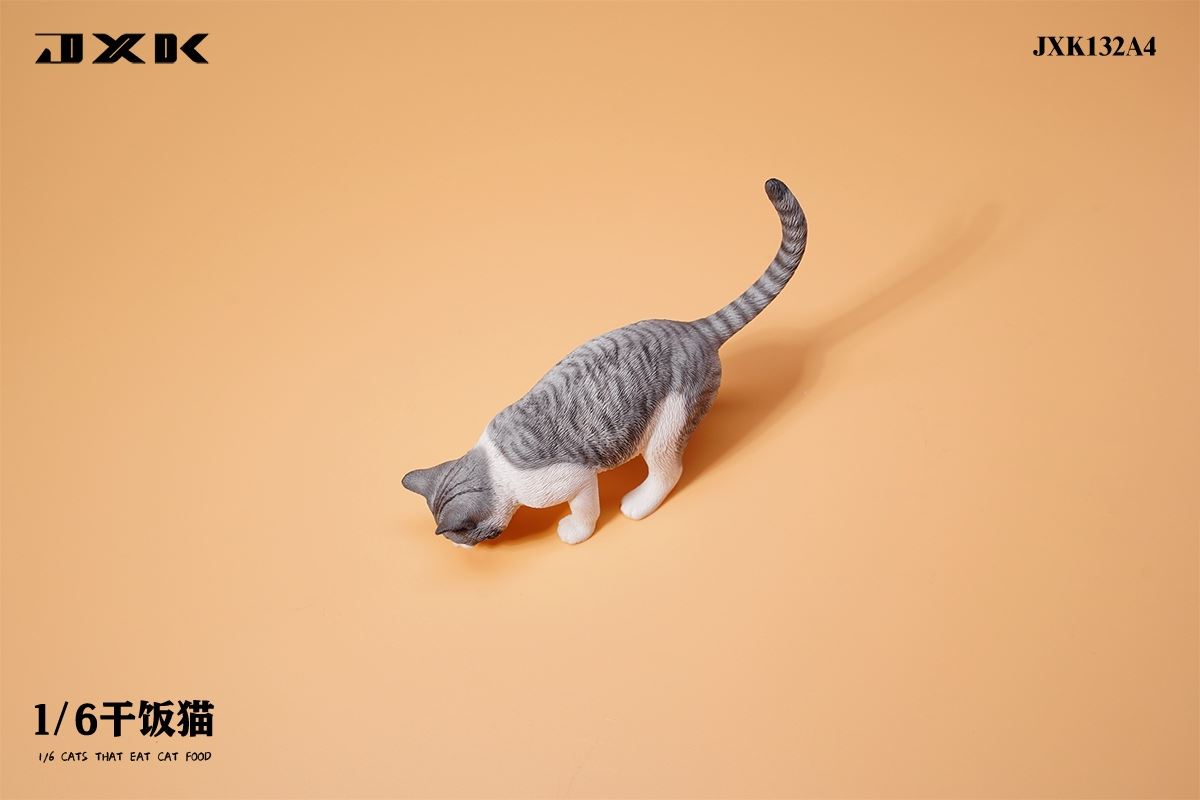 Dry Rice Cat 1/6