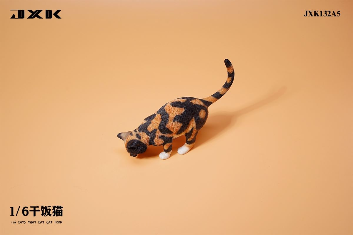 Dry Rice Cat 1/6