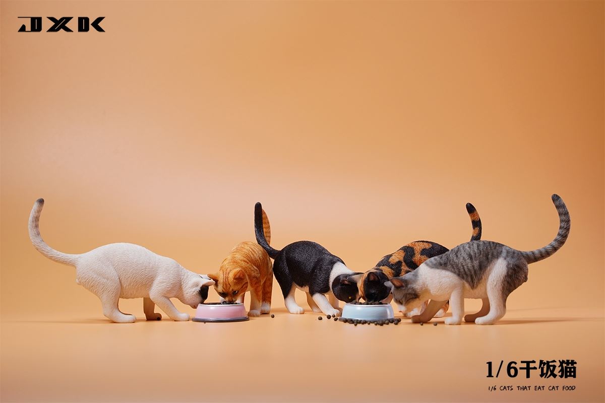 Dry Rice Cat 1/6