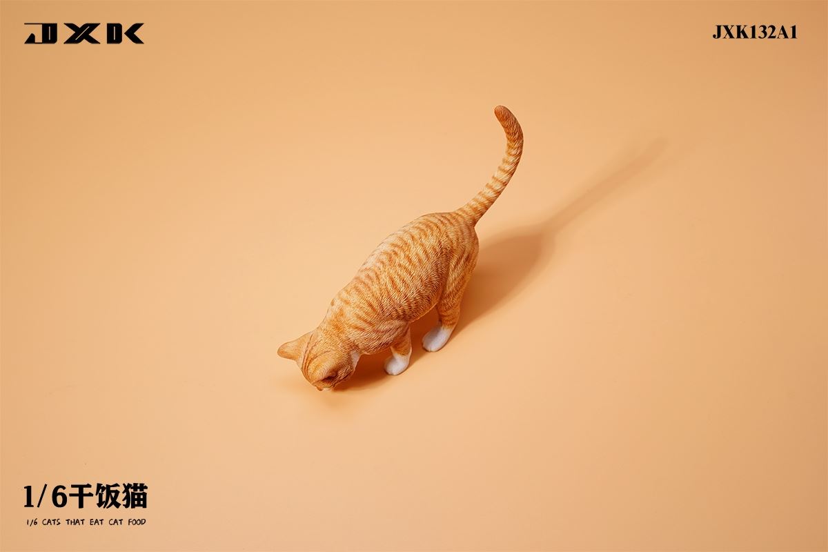 Dry Rice Cat 1/6