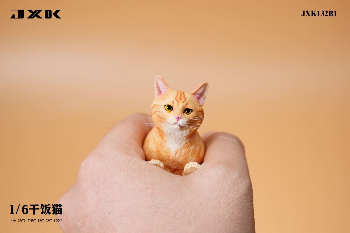 Dry Rice Cat 1/6